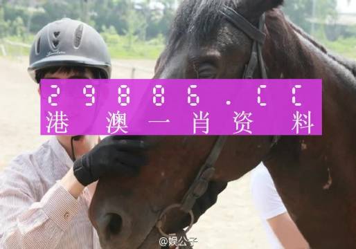 澳门精准一肖一码一一中/词语释义解释落实 _l679.18.568