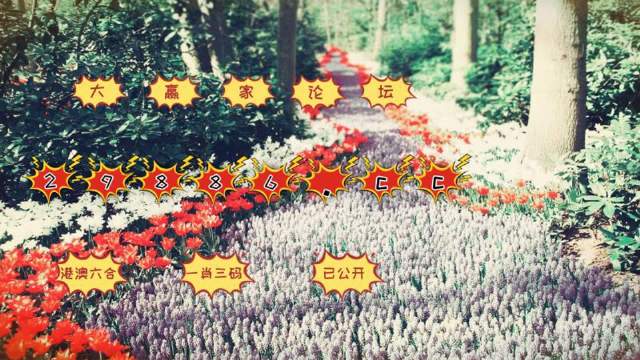 精准一肖一码一子一中/全面释义解释落实_l679.18.568