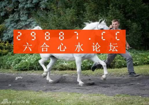 快评 第403页