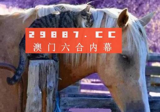 澳门一一码一特一中准选今晚/精选解析解释落实_l679.18.568