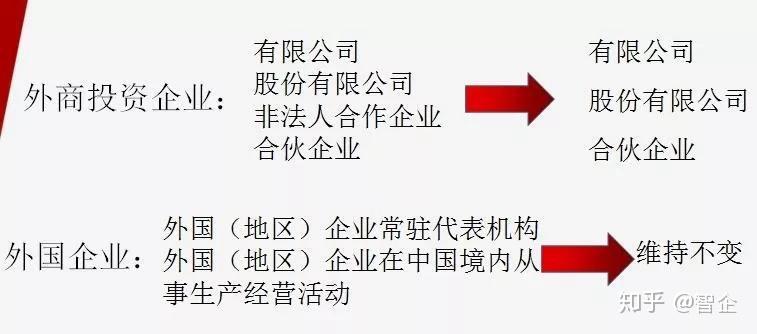澳门平特一肖100准/全面贯彻解释落实_l679.18.568