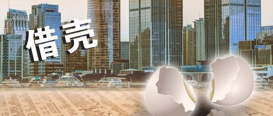 st新梅最新消息公告