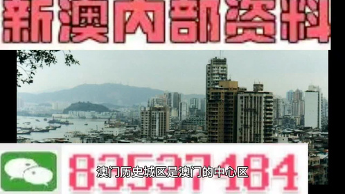 4949澳门免费资料大全特色,精选资料解析大全