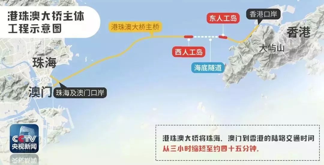 新澳2025年免费资料,精选资料解析大全