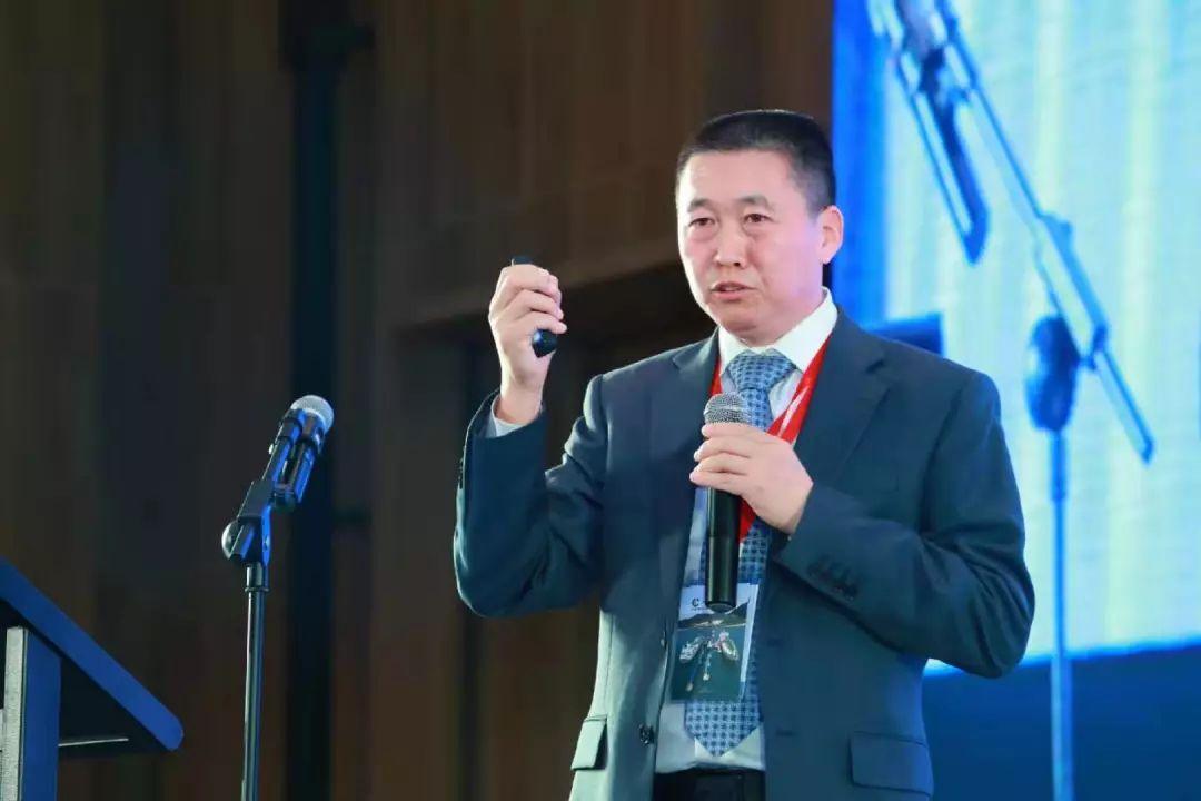 新奥2025年免费资料大全加强版,精选资料解析大全