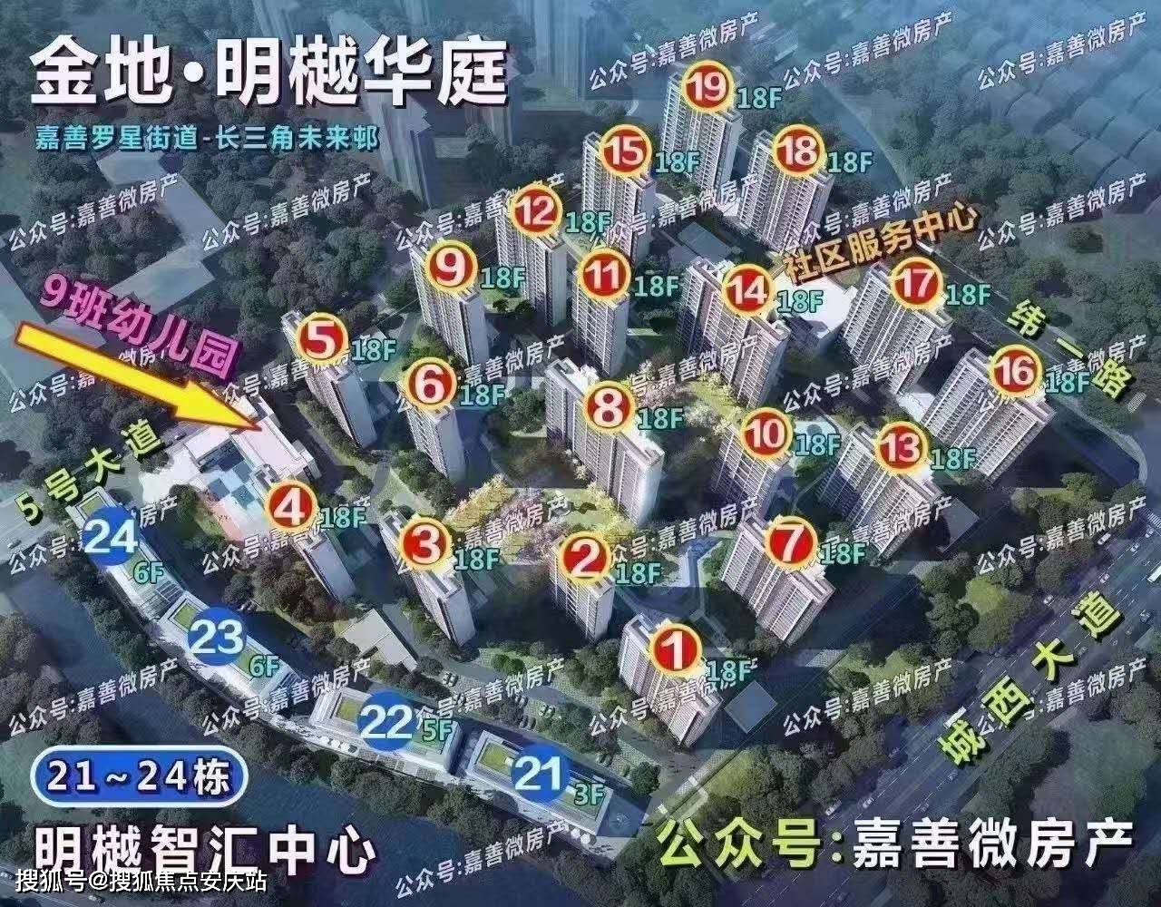 24年香港正版资料免费公开,精选资料解析大全