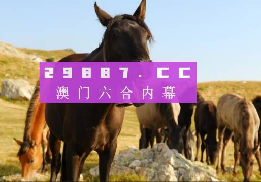 管家婆一肖一码澳门码,精选资料解析大全