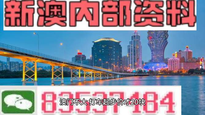 今期新澳门必须出特,精选资料解析大全