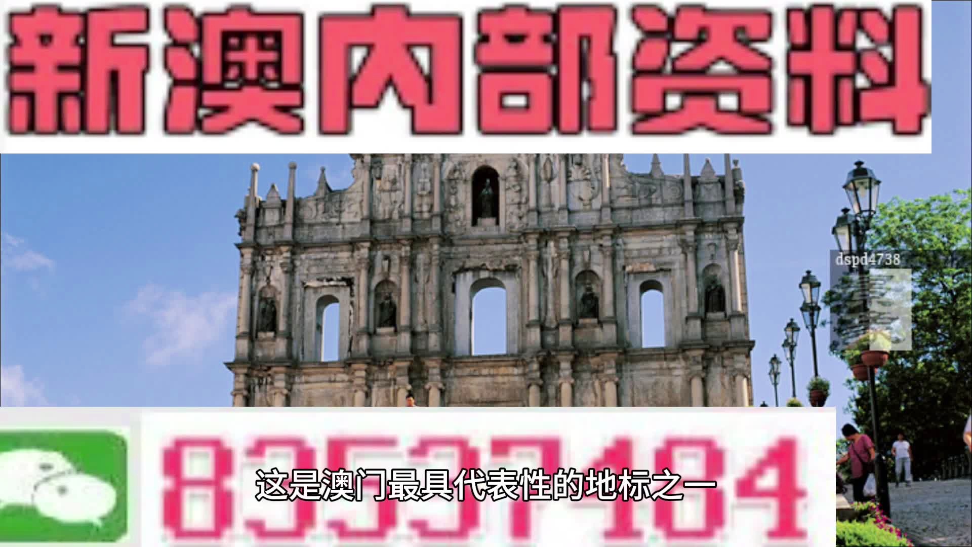 新澳正版资料免费大全,精选资料解析大全