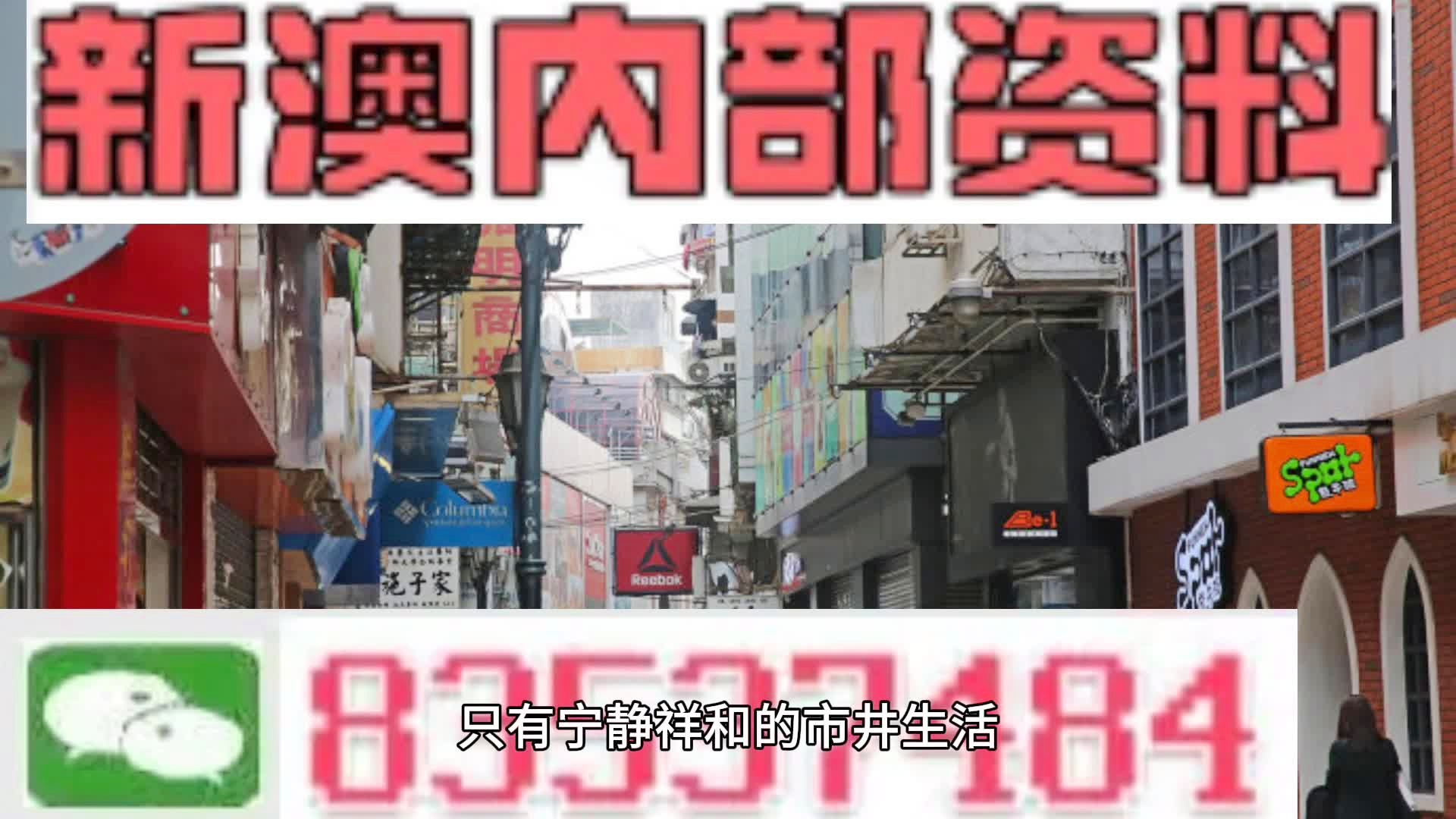 警惕新澳门精准四肖期中特公开,精选资料解析大全