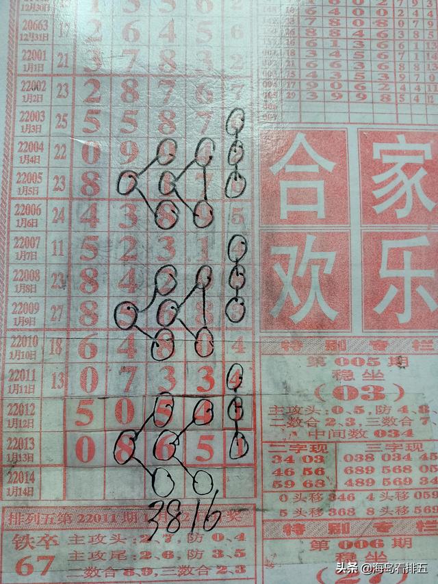 二四六天天彩资料大全网,精选资料解析大全