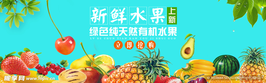 4949正版免费资料大全水果,精选资料解析大全