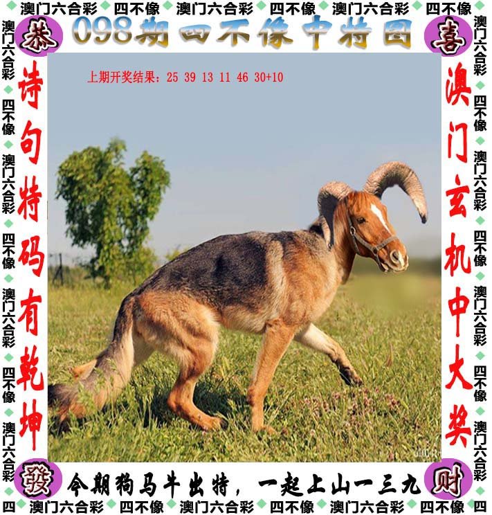 2025今晚必中四不像图136期,精选资料解析大全