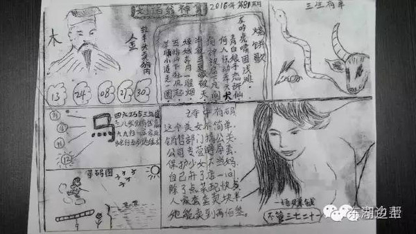 白小姐正版四肖八码,精选资料解析大全