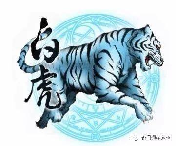 澳门白虎玄机精准玄武,精选资料解析大全