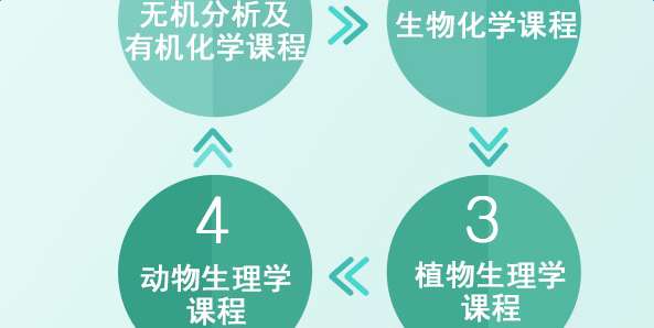 2025新奥资料免费精准资料,精选资料解析大全