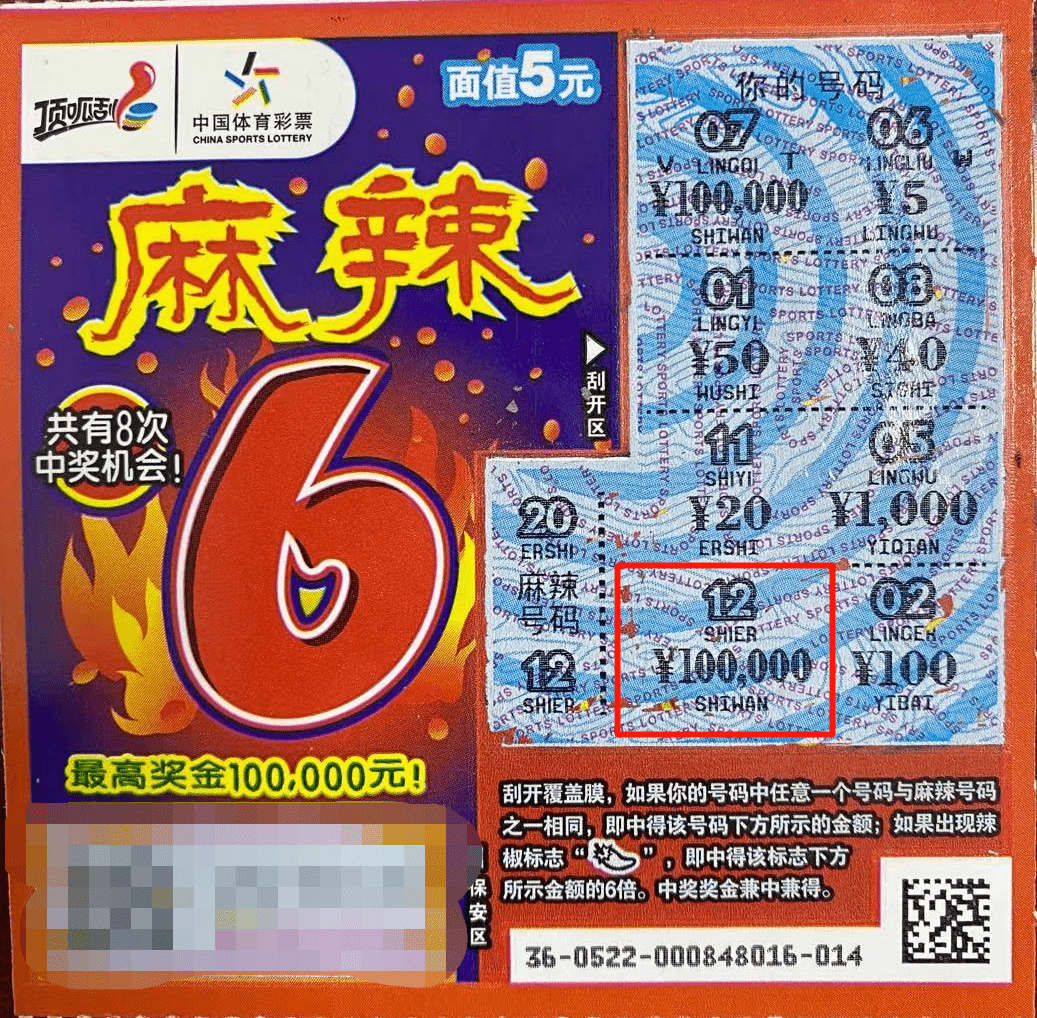 一码一肖一特马报,探索一码一肖一特马报的奥秘，数字时代的幸运之门