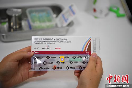 二四六香港管家婆期期准资料,揭秘二四六香港管家婆期期准资料，网络赌博的陷阱与警示