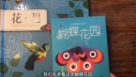 白小姐资料大全+正版资料白小姐奇缘四肖,揭秘白小姐资料大全，正版奇缘四肖的奥秘与真相