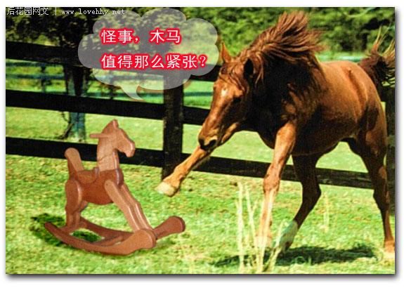 2025正版四不像图解特肖下载,警惕网络陷阱，2025年正版四不像图解特肖下载的潜在风险
