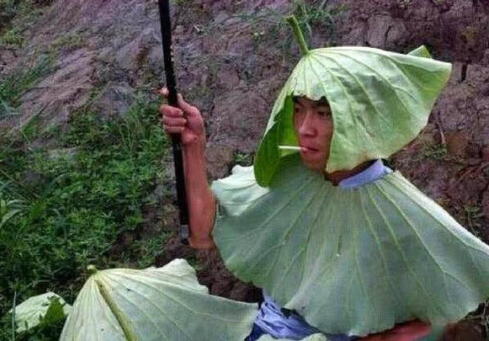 二码中特期期准资料,揭秘二码中特期期准资料，理性看待彩票与预测的误区