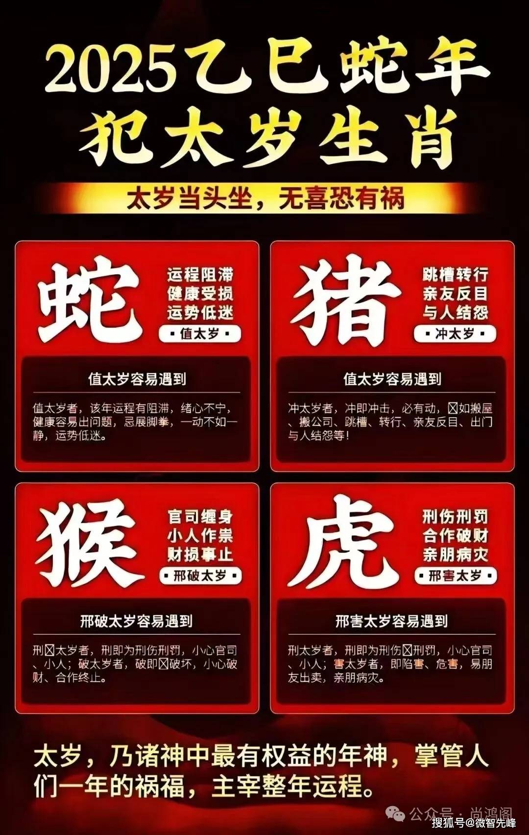 2025今晚9点30开什么生肖明,2025年今晚9点30分揭晓的生肖之谜