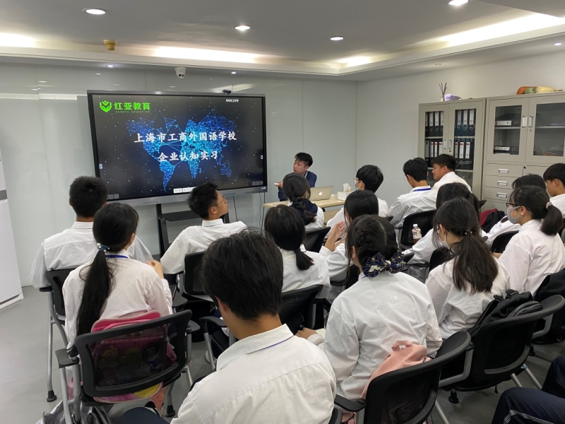 2025年正版四不像图,2025年，探索四不像图形的未来与文化价值
