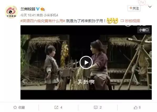 新奥门特免费资料大全火凤凰,探索新奥门特，免费资料大全与火凤凰的启示