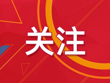 新澳门精准四肖期期准,数据资料,澳门精准四肖期期准，数据资料与理性分析的交汇