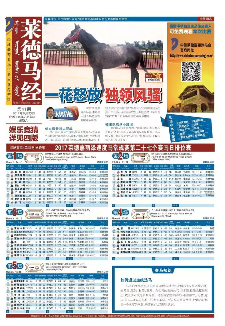 马会传真免费公开资料,揭秘马会传真，免费公开资料背后的真相与陷阱