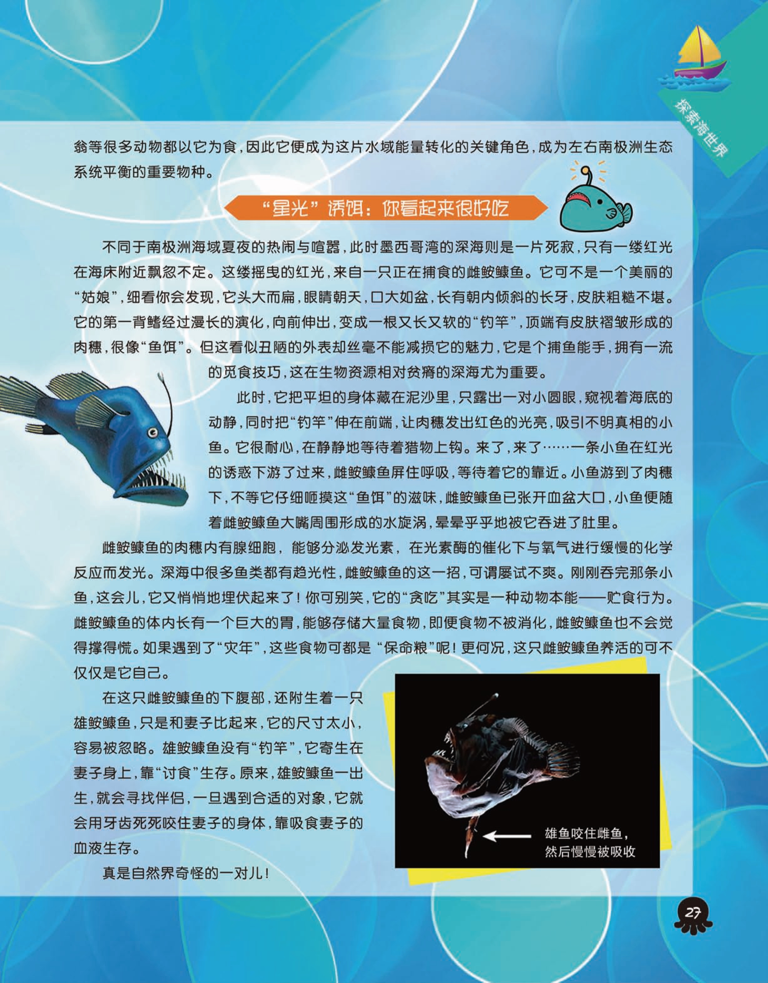 正版资料全年资料大全,探索知识海洋，正版资料全年资料大全的无限价值