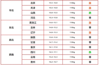 新澳门彩出号综合走势,澳门彩出号综合走势，数字背后的奥秘与预测