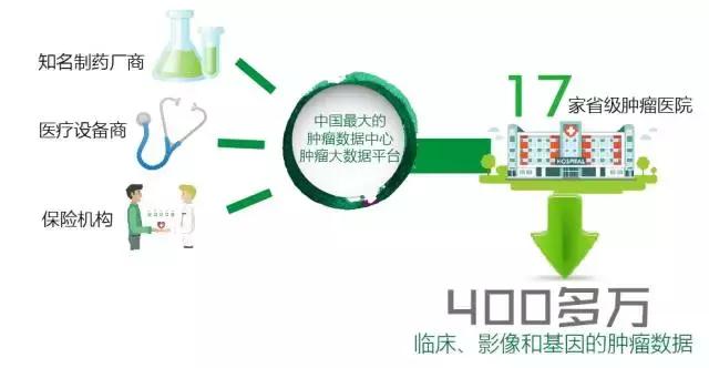 最准一码一肖100%精准965,揭秘最准一码一肖，965精准预测的真相