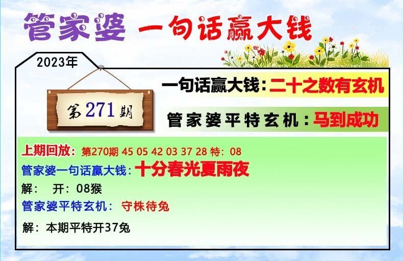 管家婆一肖一码,揭秘管家婆一肖一码，网络迷思与现实警示