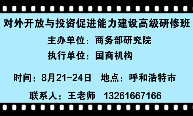 7777788888新版跑狗,7777788888新版跑狗，重塑娱乐体验的革新之作