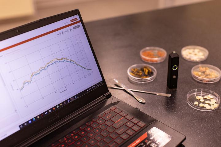 全香港最快最准的资料,全香港最快最准的资料——解锁信息时代的速度与精度