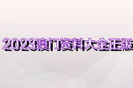 新澳门资料大全正版资料2023,探索新澳门资料大全2023，正版资料引领的智慧之选