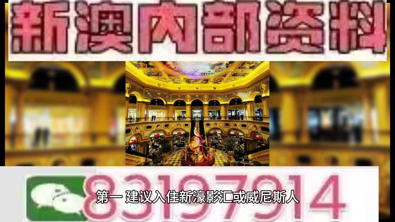 2025澳门特马今晚开奖113期,澳门特马，2025年113期开奖的背后与未来展望