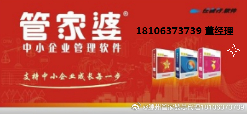 管家婆204年资料一肖配成龙,管家婆204年资料一肖配成龙，揭秘传统与现代科技的完美融合