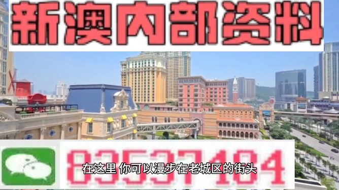 4949澳门精准免费大全2023,澳门4949精准免费大全2023，揭秘与警示