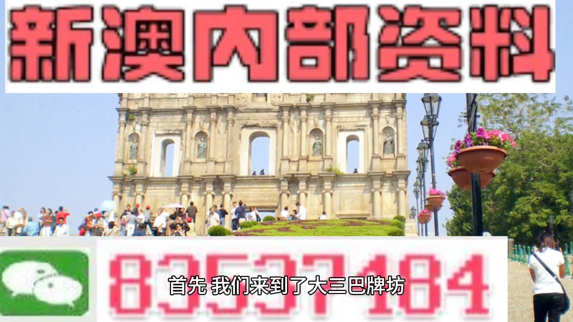 新澳精选资料免费提供,免费获取知识宝藏，新澳精选资料大放送