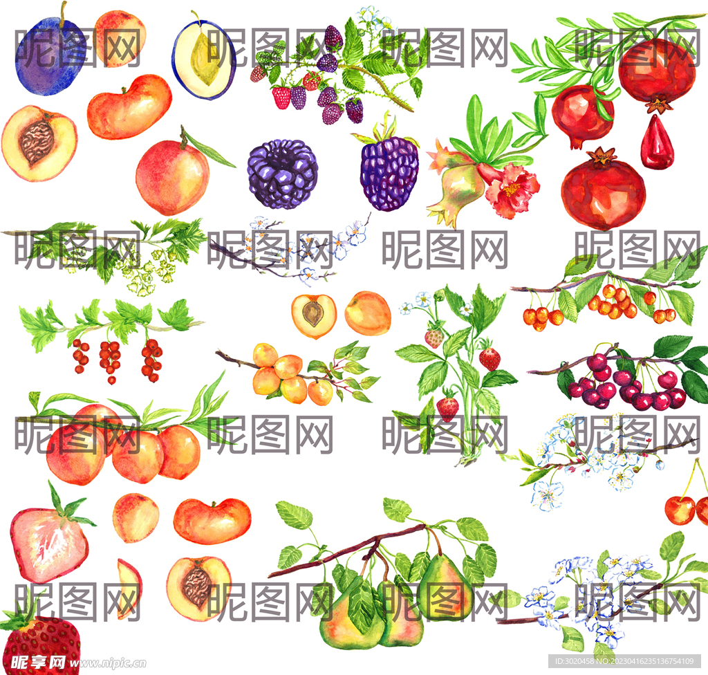 4949正版免费资料大全水果,4949正版免费资料大全，解锁水果游戏新体验