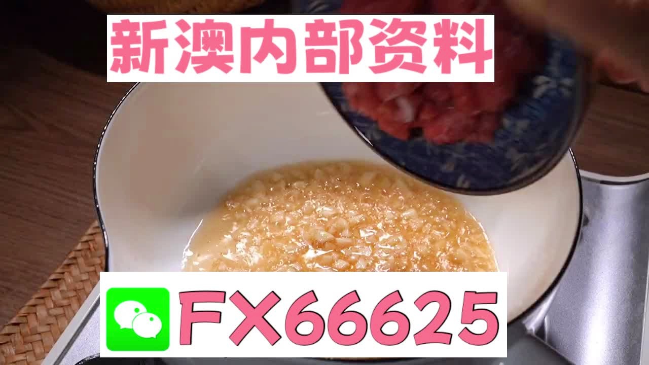新澳门24码中特精准,澳门24码中特精准，揭秘数字背后的奥秘