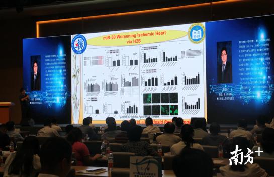 澳门100%最准一肖,澳门100%最准一肖，揭秘与警示