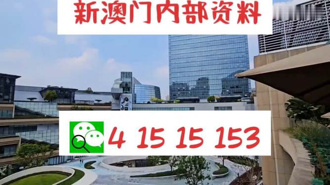 澳门平特一肖100中了多少倍,澳门平特一肖100中了多少倍，一场关于概率与幸运的较量