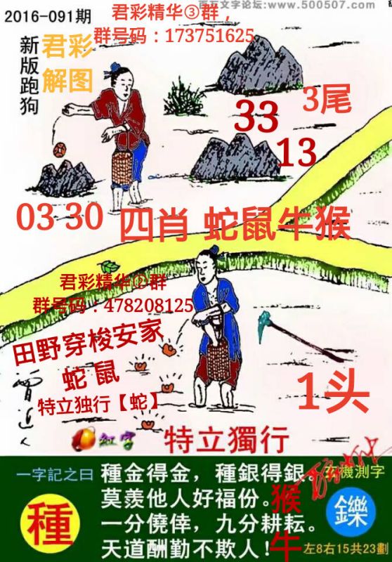 2025正版资料澳门跑狗图跑狗图2025年今期,2025年澳门跑狗图，正版资料与未来趋势的深度解析