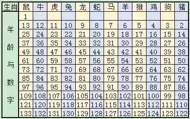2025十二生肖49码表,探索未来，2025年十二生肖与49码表的神秘交汇